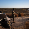 Resumen de noticias de deportaciones en EE.UU., medidas de Trump sobre migración y más, 30 de enero