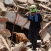 Suman 33 personas rescatadas con vida tras devastadores terremotos en Venezuela