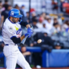 Sultanes vs Charros | Momentos destacados EN VIVO | Playoffs de la LMB